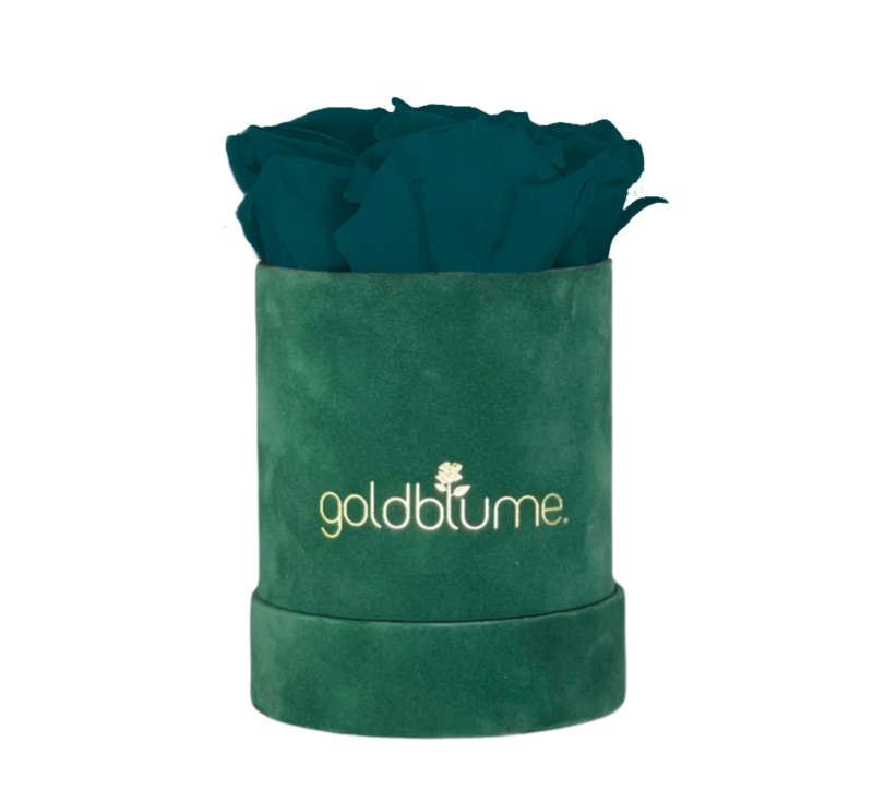 Colección Terciopelo Verde