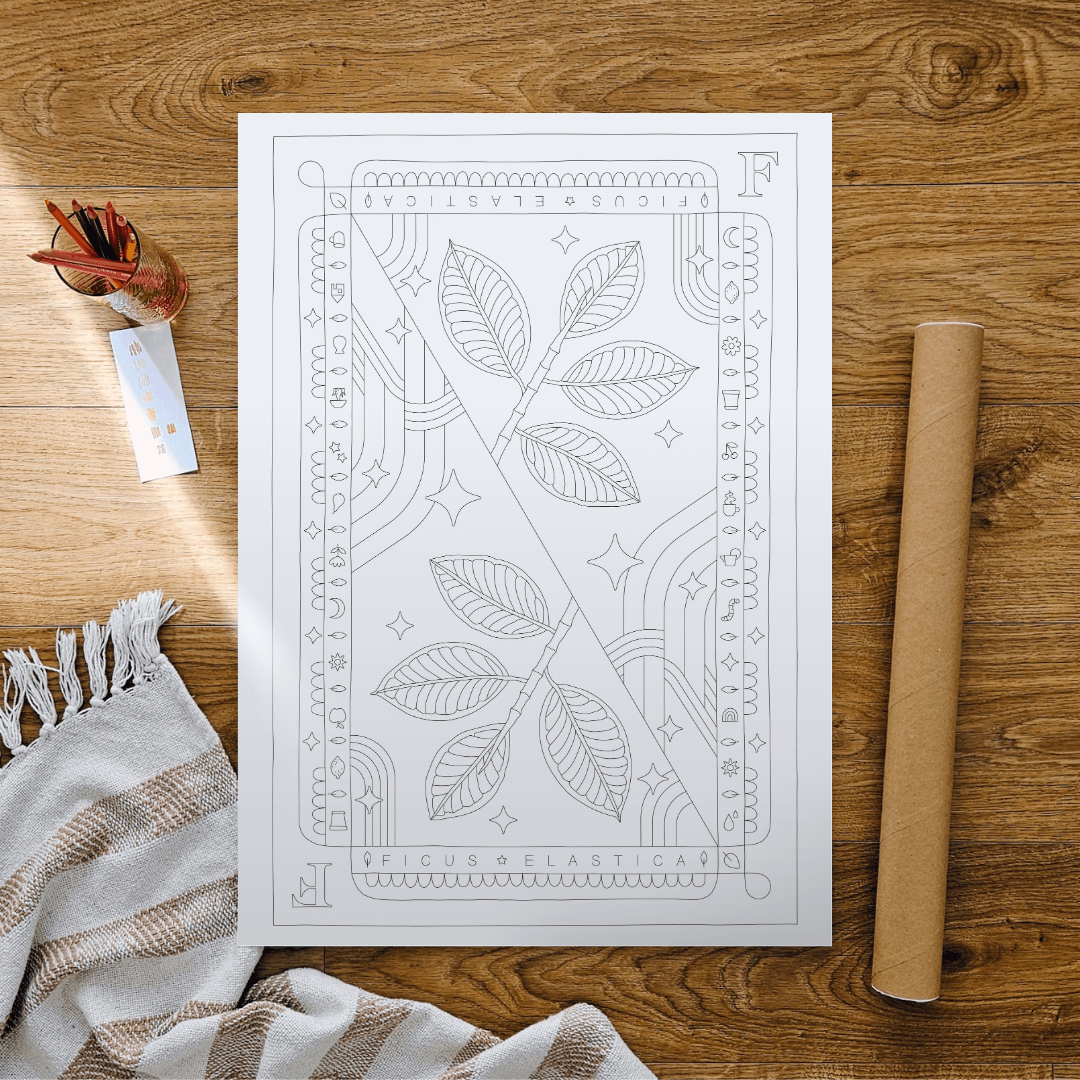 Ficus Elastica Coloring Poster 50x70 cm