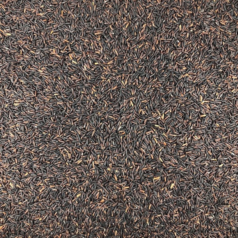 Organic Black Rice in Bulk