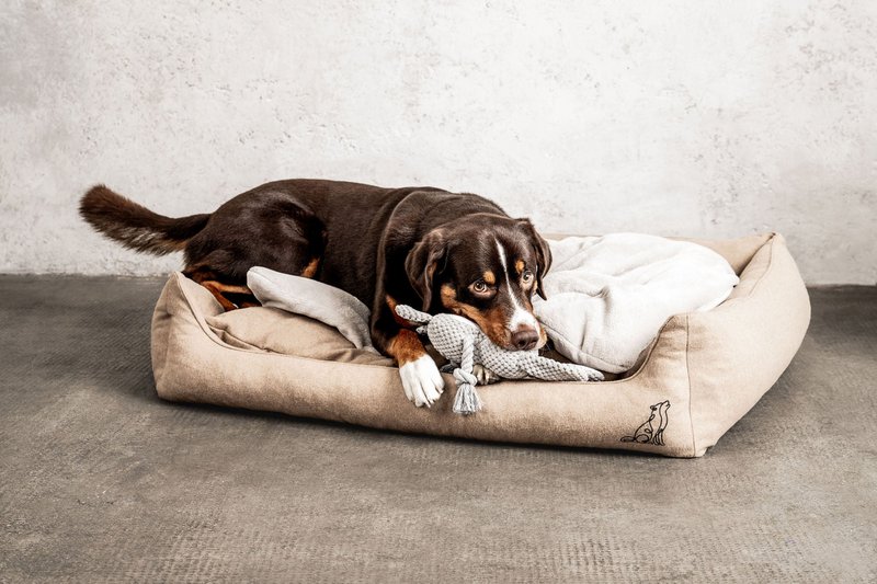 Couverture pour chien Emma Nature (végétalienne)