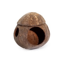 Coconut bird house natural brown round sphere with entrance hole hanging hook