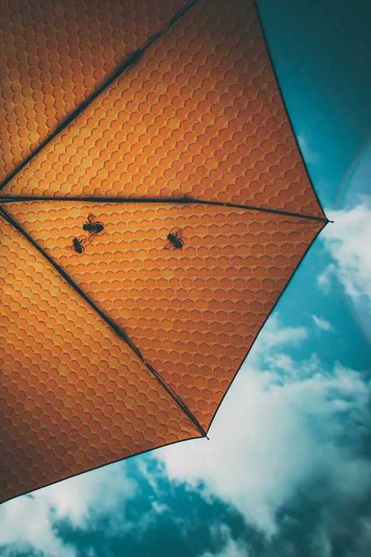 Honey Umbrella – Windproof & UPF50+ Protection
