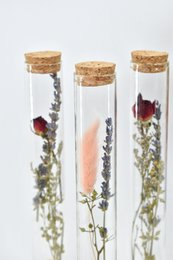 Dried flower tubes - 20 cm