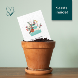 Seed paper greeting card - Birthday cake
