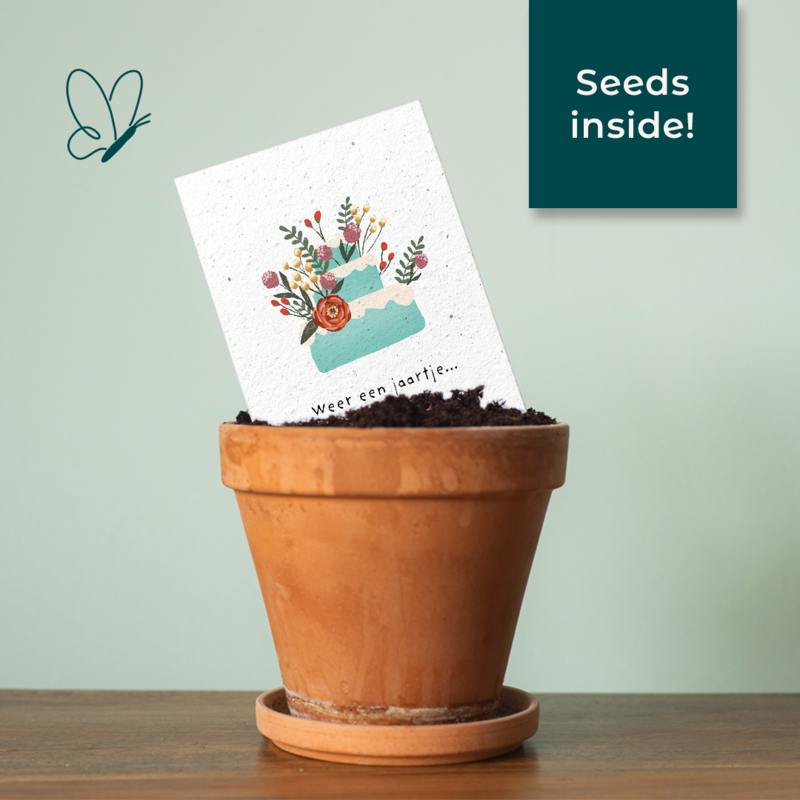 Seed paper greeting card - Birthday cake