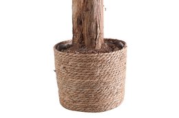 ARTIFICIAL BANANA TREE 180 CM HIGH. OK1037