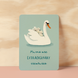 Postcard | Swan mum