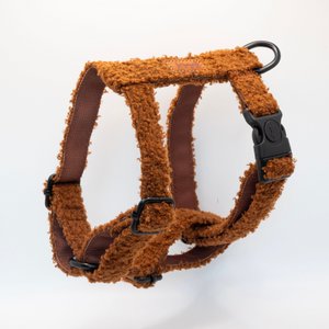 Teddy tuigje bruin
