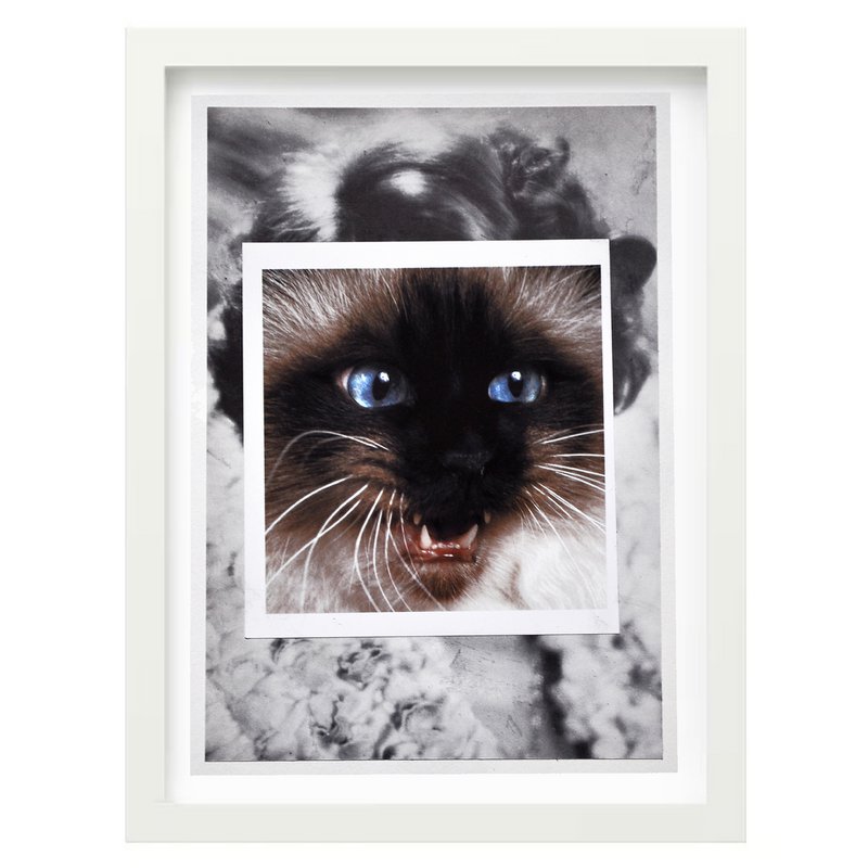 Collage d’impression d’art | Visage de chat 3