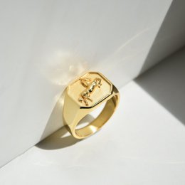Ring DARK HORSE | 925 silver