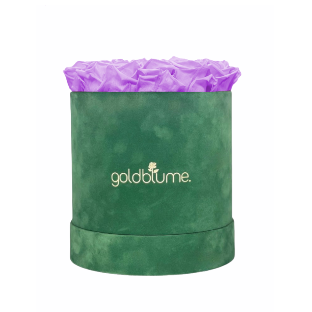 Velvet Green Collection