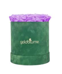 Velvet Green Collection