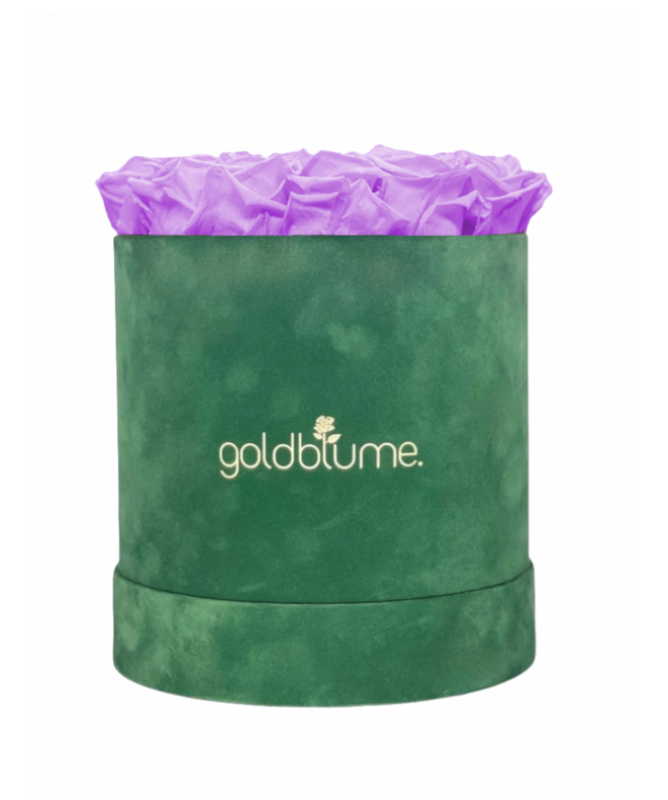 Velvet Green Collection