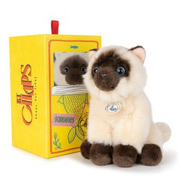BTC - Eddie le Siamois en boà®te cadeau - 17 cm -