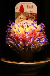 100 Fruchtlutscher für Himbeere – Erdbeere – Apfel – Zitrone – Karamell Display – 1300 g