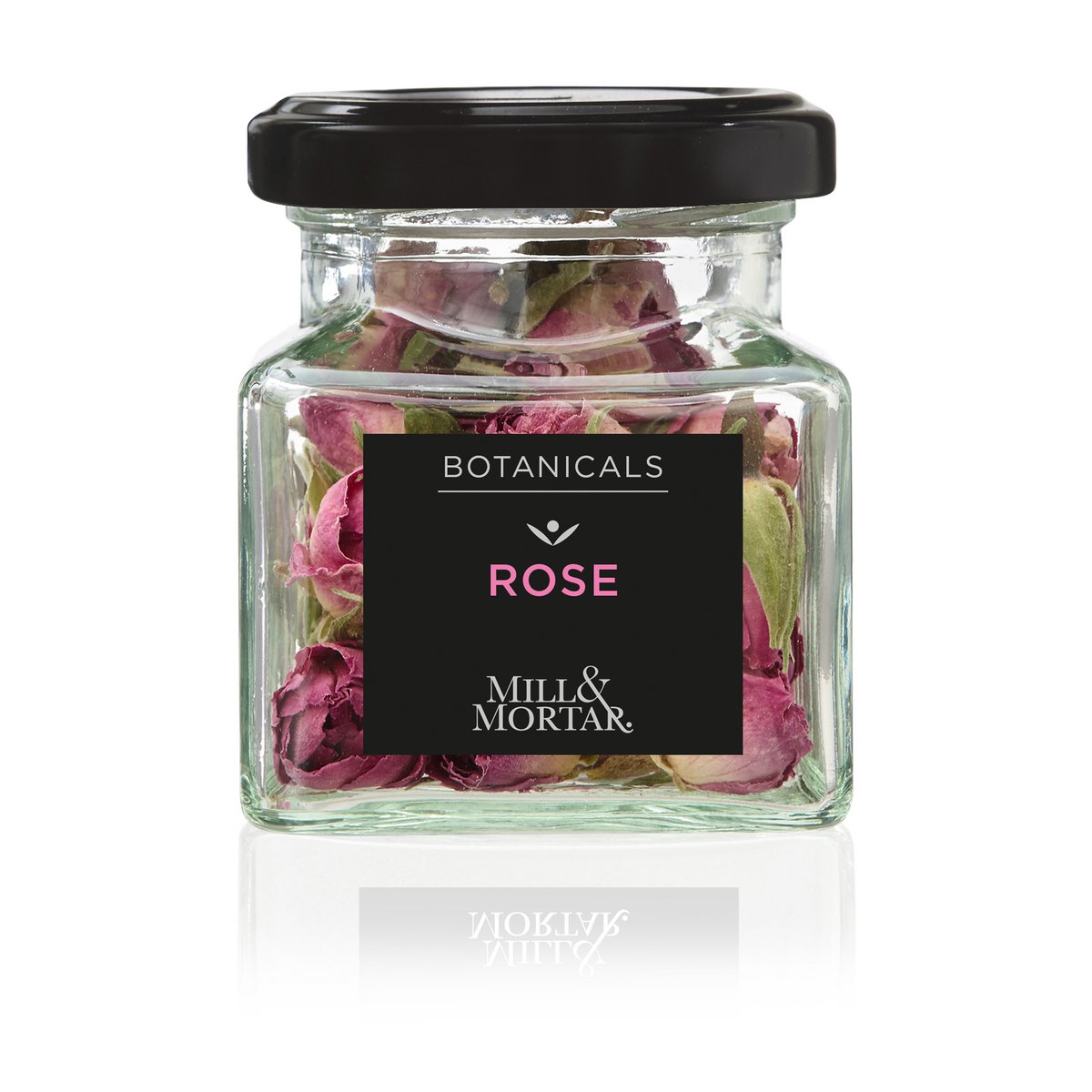 Boutons de rose