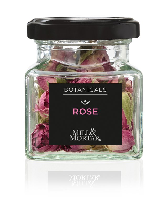 Boutons de rose