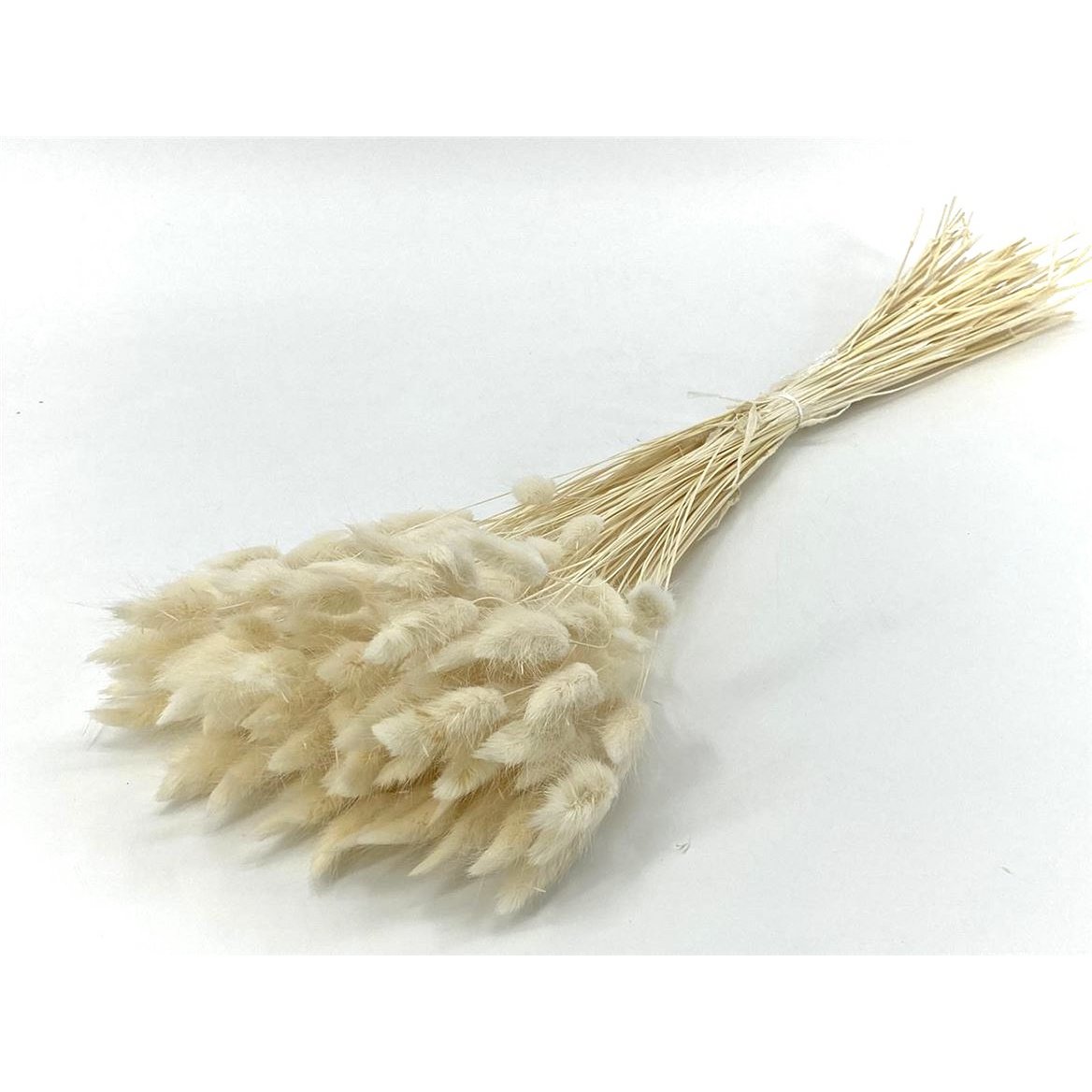 Flores secas - Lagures - 60 cm - flores secas naturales
