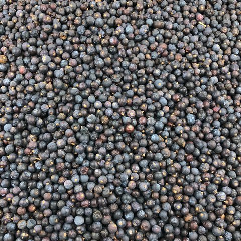 Bulk Organic Juniper Berries