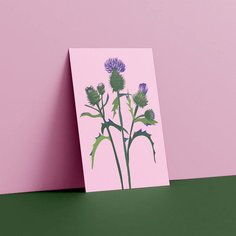 Pocztówka Botaniczna - Oset