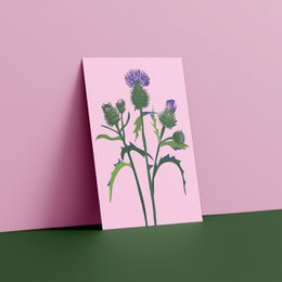 Cartolina Botanica - Cardo