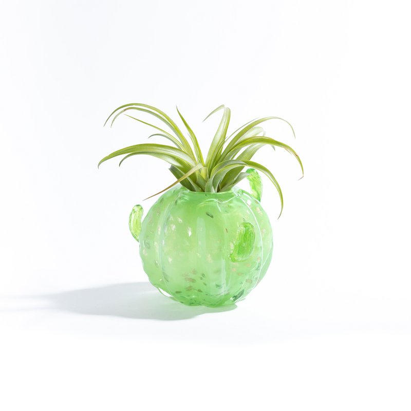 Mały wazon z kaktusem (z rośliną Tillandsia)