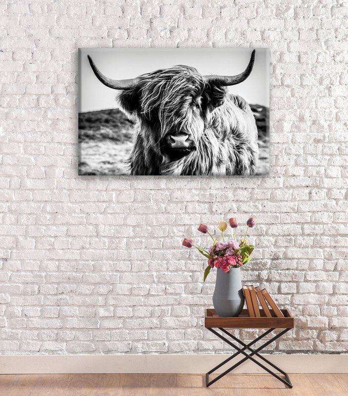 Wandfoto HOCHLANDRIND 60x90 cm canvas foto op spieraam decoratie modern