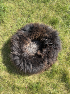 Dog Basket Brown - 100% Sheepskin