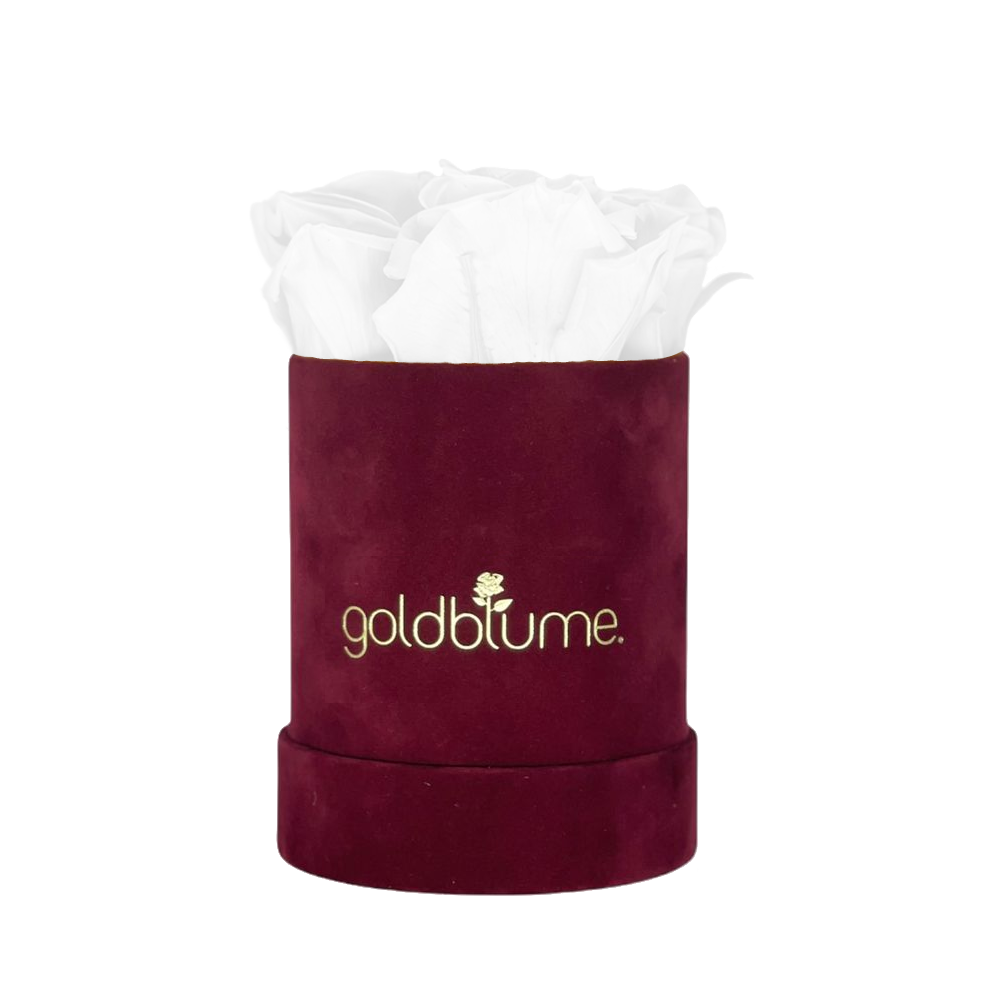 Collection Velours Bordeaux