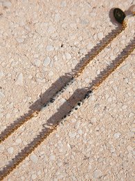 Gold-toned chain necklace with a delicate, minimalist design.