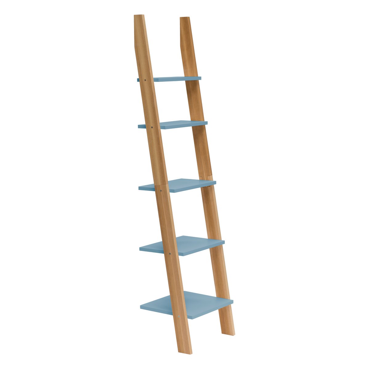 ASHME Laddershelf
