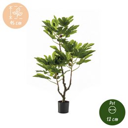 Art Plant - Ficus Carica - Figen Tree - 95 cm