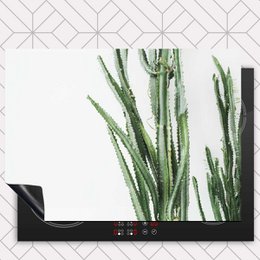Protecteur induction - Cactus