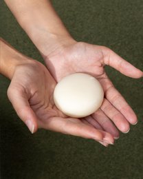 SOLID CONDITIONER - Nærer og reparerer håret med argan, kokos og havtorn