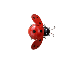 Zimba-Arts METAL RED SMALL LADY BIRD