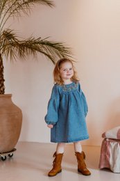 Marina Denim Dress