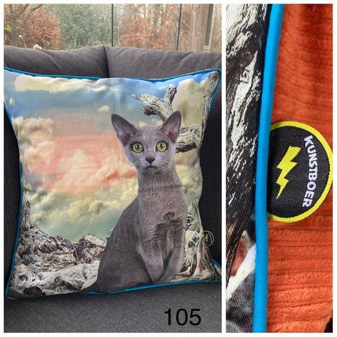 Cushion cover (50x50cm) - Cat in evening sun