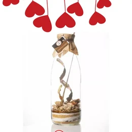 A tall, cylindrical glass container filled with a dark liquid, likely rum, and decorated with a twisted rope and a dried lemon slice. The container is surrounded by red heart-shaped decorations, creating a romantic or festive atmosphere.