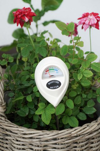 Soil moisture meter Isabelle Rose