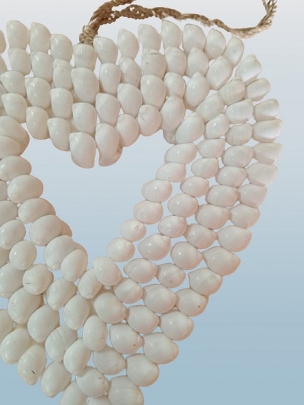 Conchas de corazón.