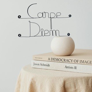 Wire Wall Decoration "Carpe Diem" - to pin - Wall Jewelry