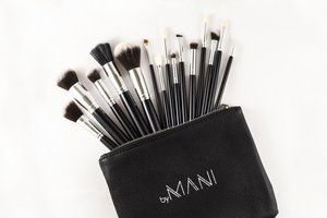 Make-Up Brush Set 15-Piece Professional Black
