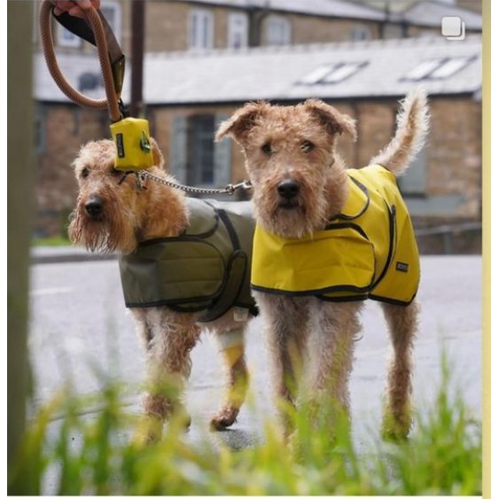 Green Dog Coat