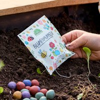 5 Blumenmurmeln im Tütchen