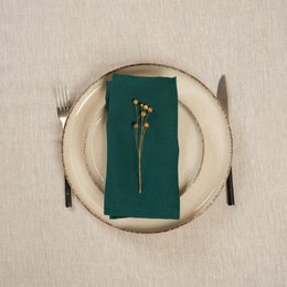 Linen Napkins Set