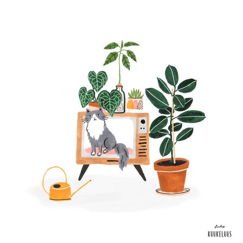 A4 Poster | Cat and Plants