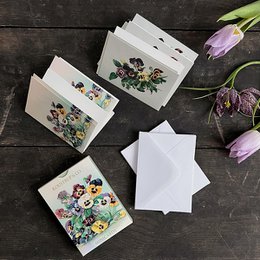 Minicards Spring - Pansy flowers