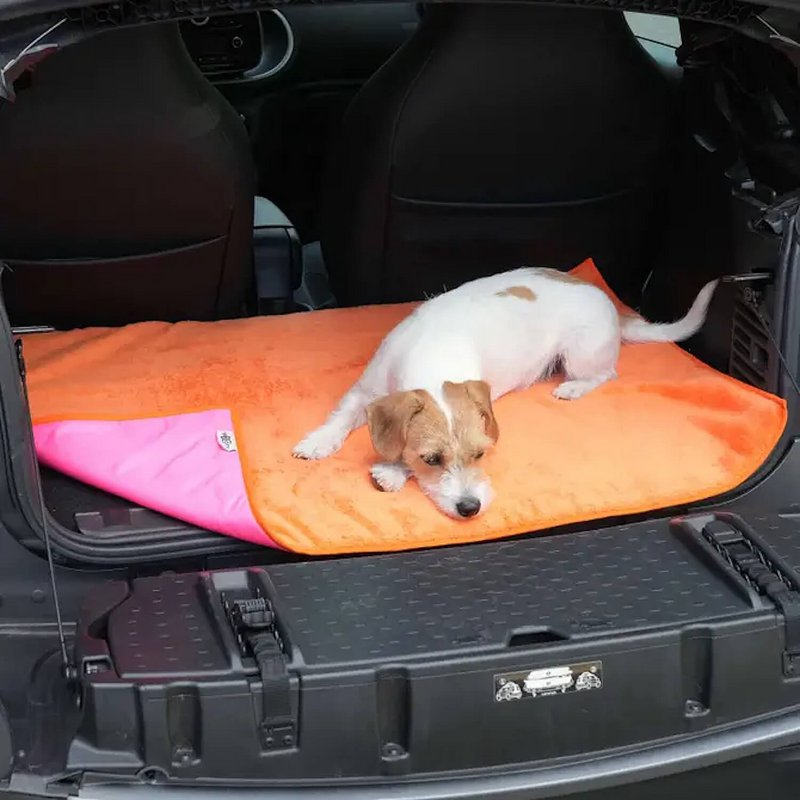 Reisematte Travel Mat Picknicker blau orange