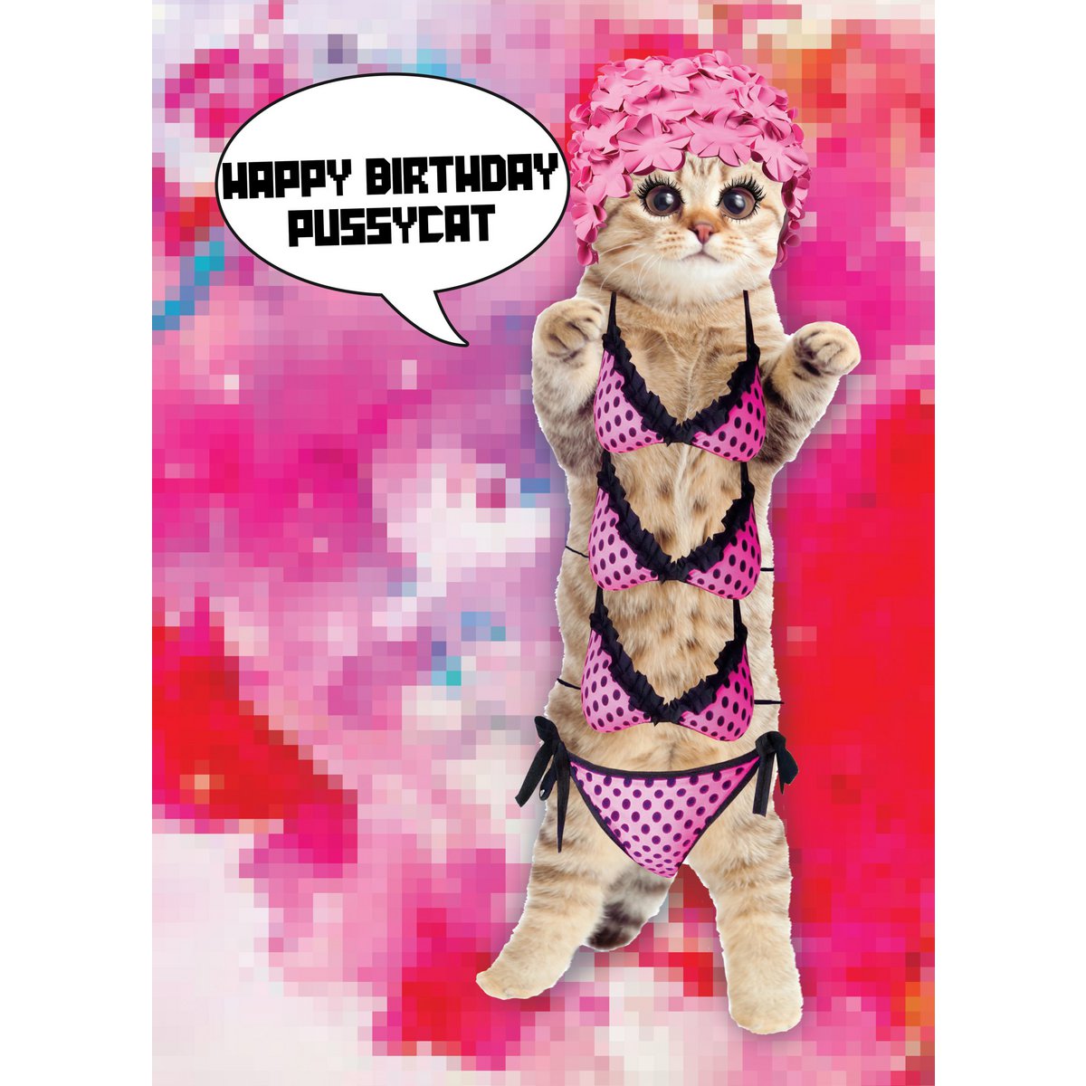 Kaart Happy Birthday Pussycat 10 st.