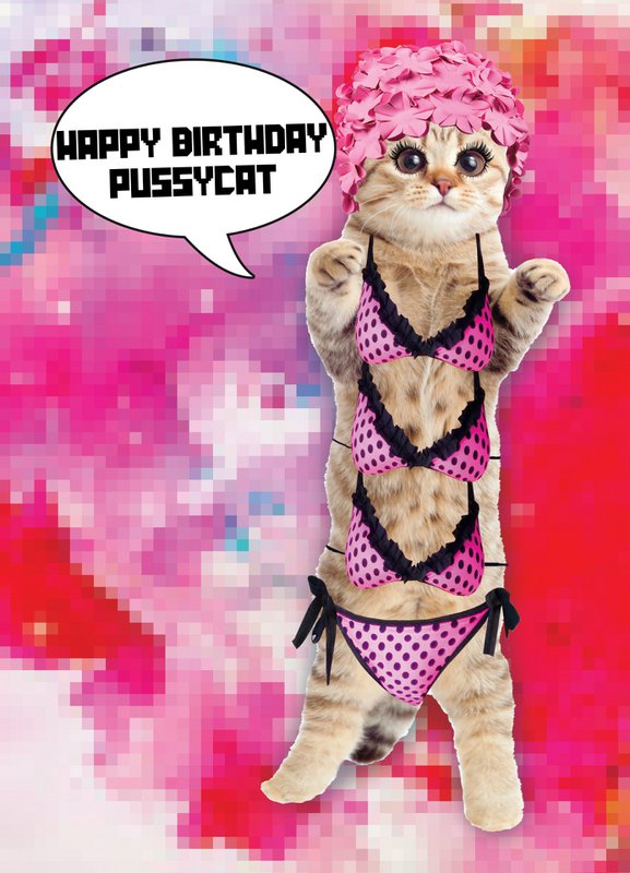 Kaart Happy Birthday Pussycat 10 st.